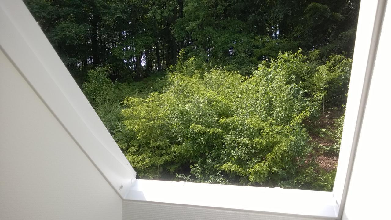 Moselundgaard B/B Og Hestehotel Engesvang Dış mekan fotoğraf