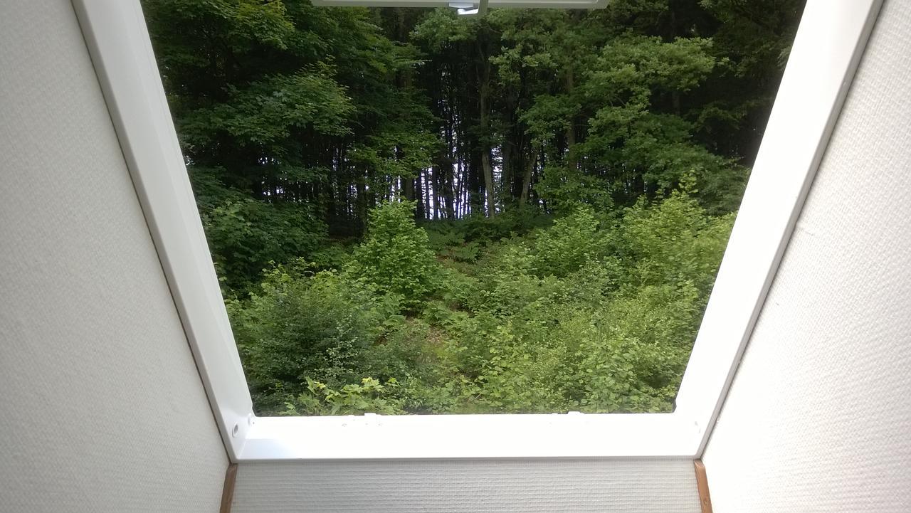 Moselundgaard B/B Og Hestehotel Engesvang Dış mekan fotoğraf